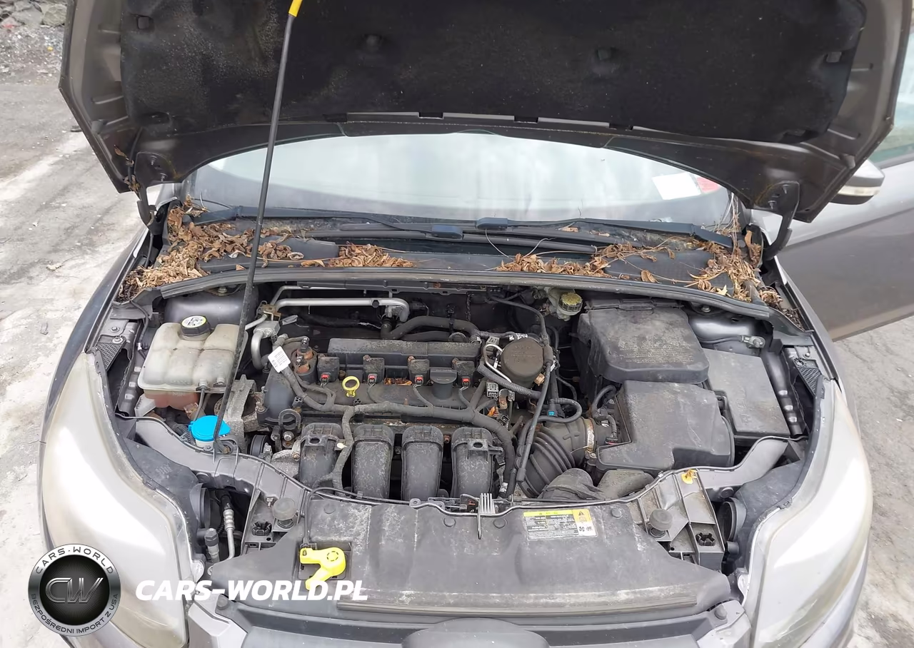 2013 Ford Focus Se VIN:1FADP3F28DL180622 - 10