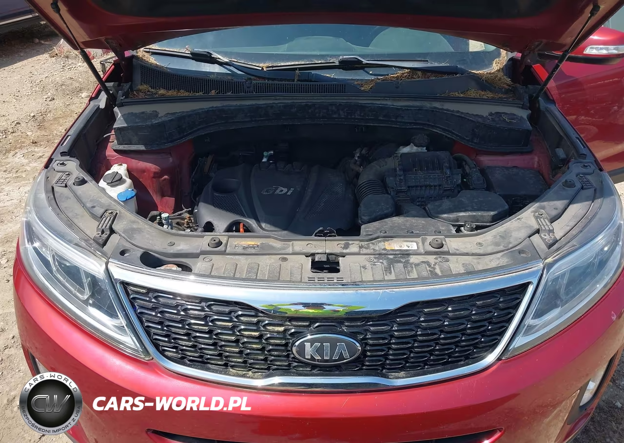 2015 Kia Sorento Lx VIN:5XYKT3A60FG563377 - 10