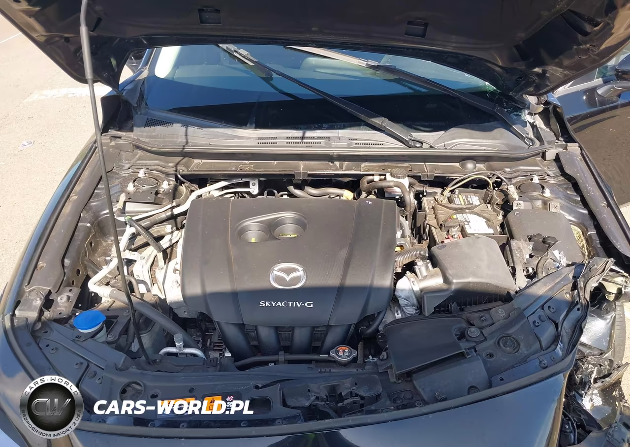 2020 Mazda Mazda3 VIN:3MZBPABL9LM134733 - 10