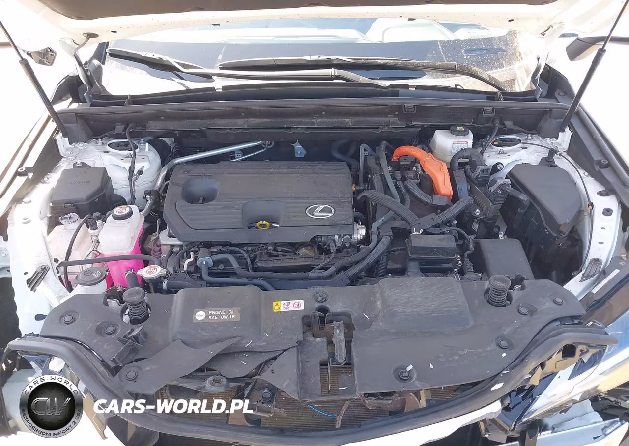 2024 Lexus Nx 350H Premium VIN:JTJGKCEZ5R5011509 - 10