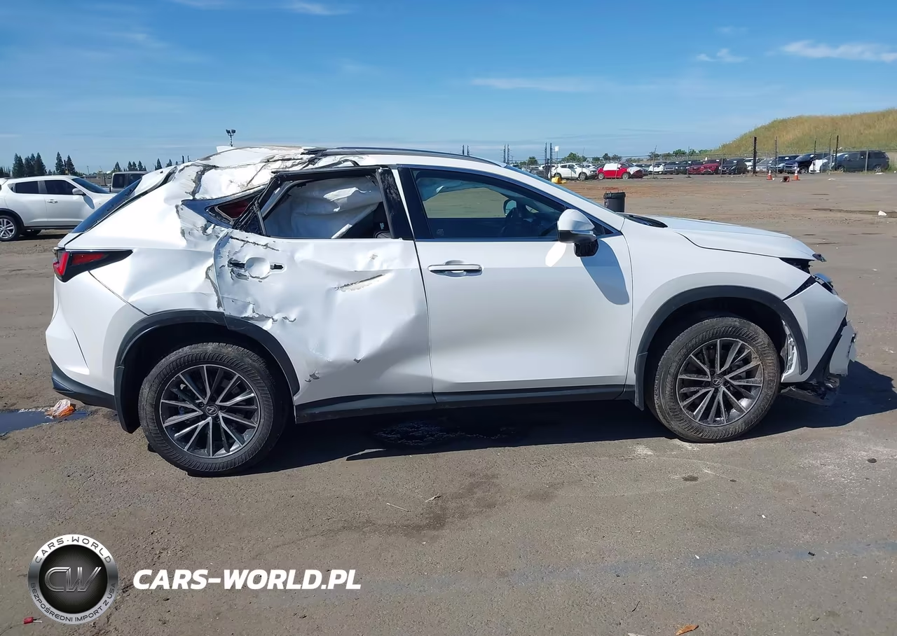 2024 Lexus Nx 350H Premium VIN:JTJGKCEZ5R5011509 - 14