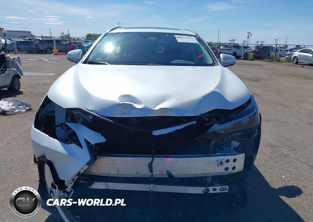 2024 Lexus Nx 350H Premium VIN:JTJGKCEZ5R5011509 - 6