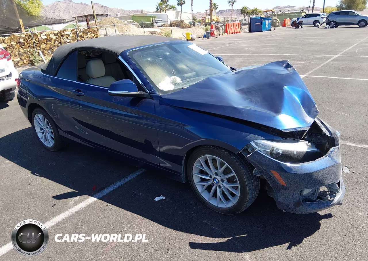 2015 BMW 228I