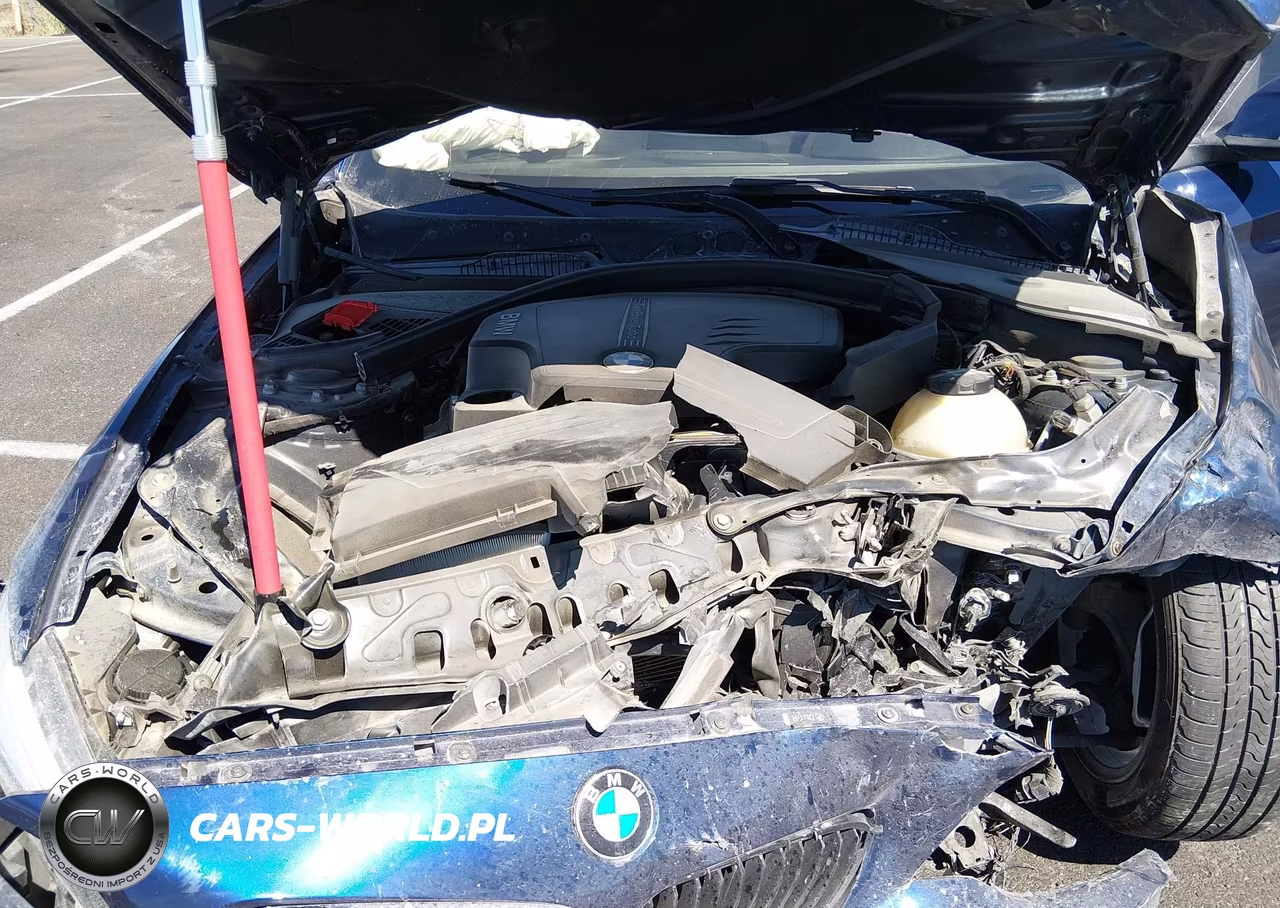 2015 BMW 228I VIN:WBA1K5C55FV473923 - 10