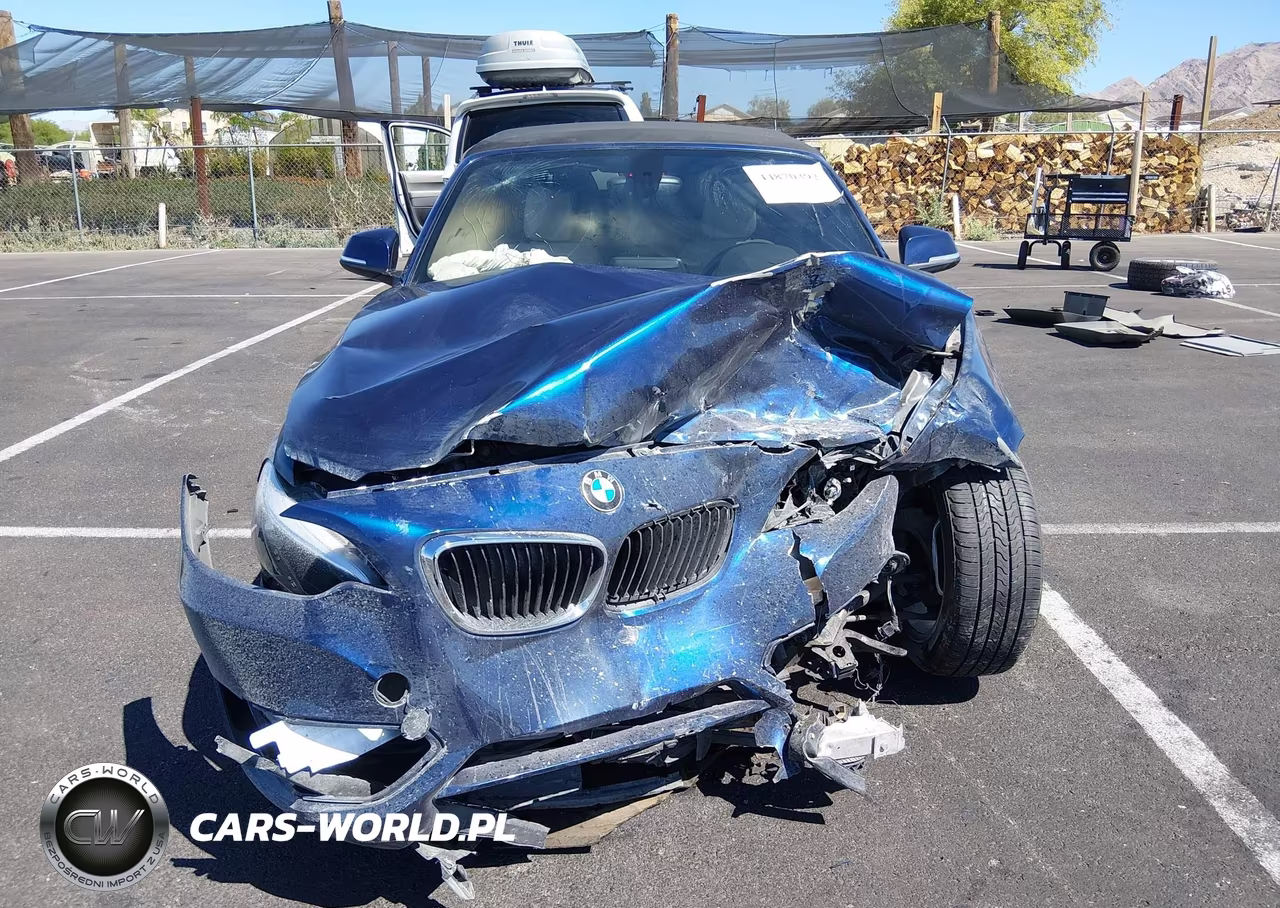 2015 BMW 228I VIN:WBA1K5C55FV473923 - 12