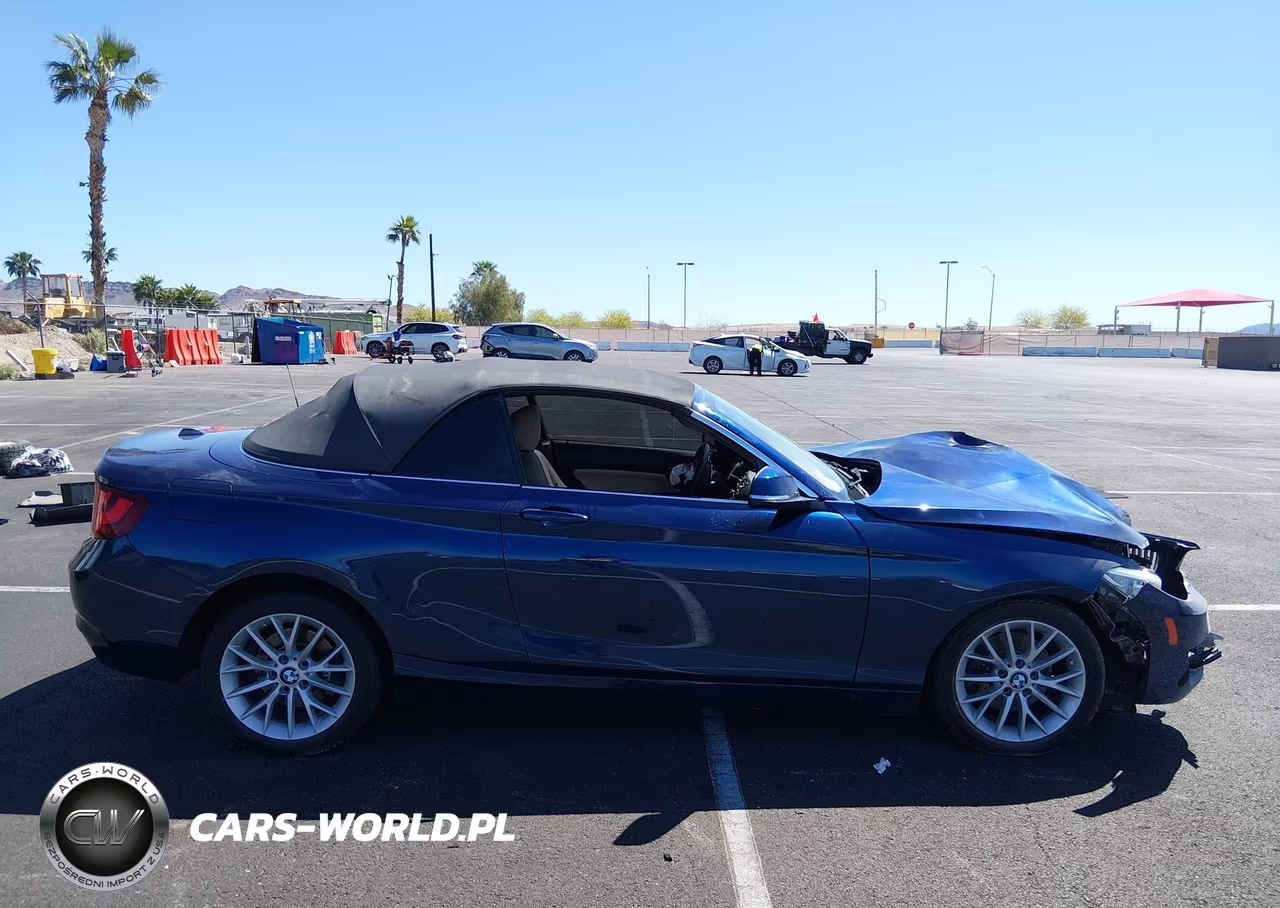 2015 BMW 228I VIN:WBA1K5C55FV473923 - 13