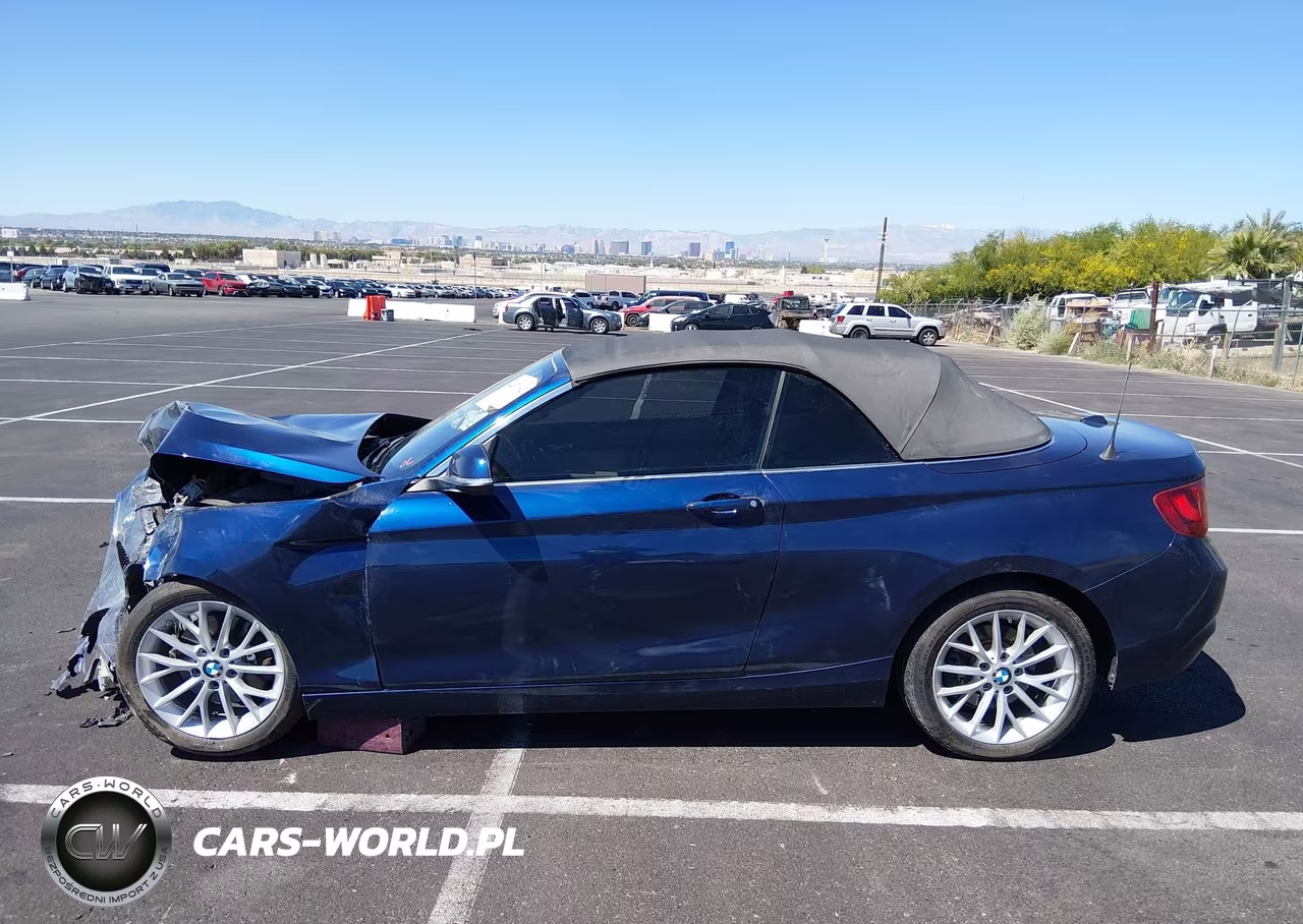 2015 BMW 228I VIN:WBA1K5C55FV473923 - 14