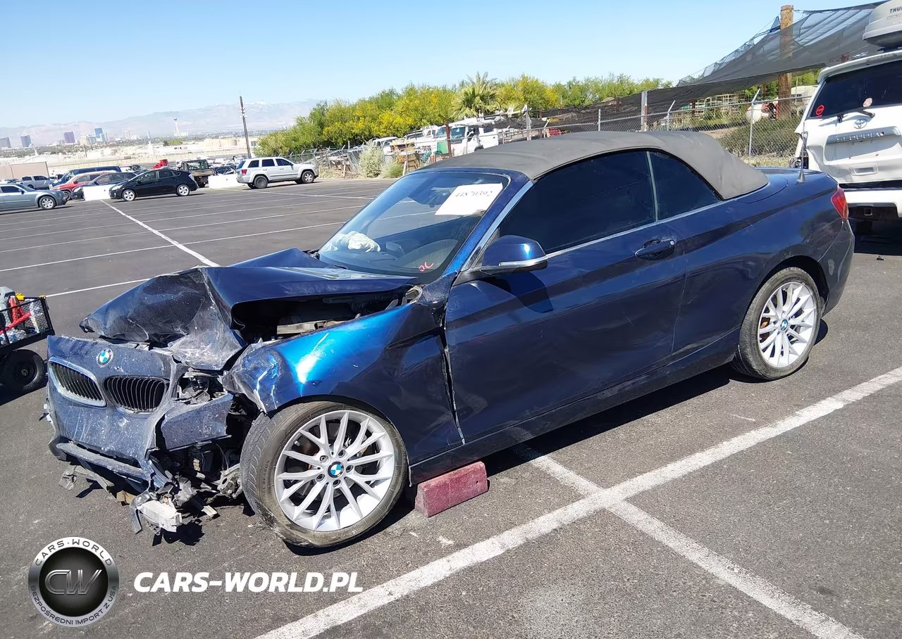 2015 BMW 228I VIN:WBA1K5C55FV473923 - 2