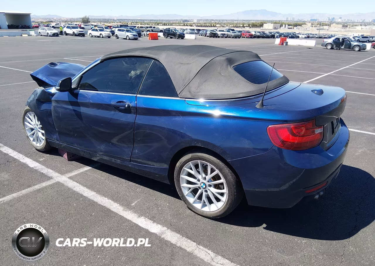 2015 BMW 228I VIN:WBA1K5C55FV473923 - 3