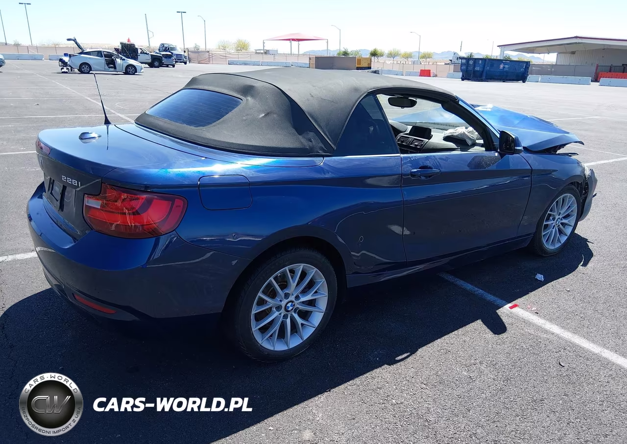 2015 BMW 228I VIN:WBA1K5C55FV473923 - 4