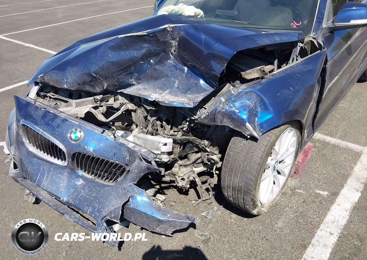 2015 BMW 228I VIN:WBA1K5C55FV473923 - 6