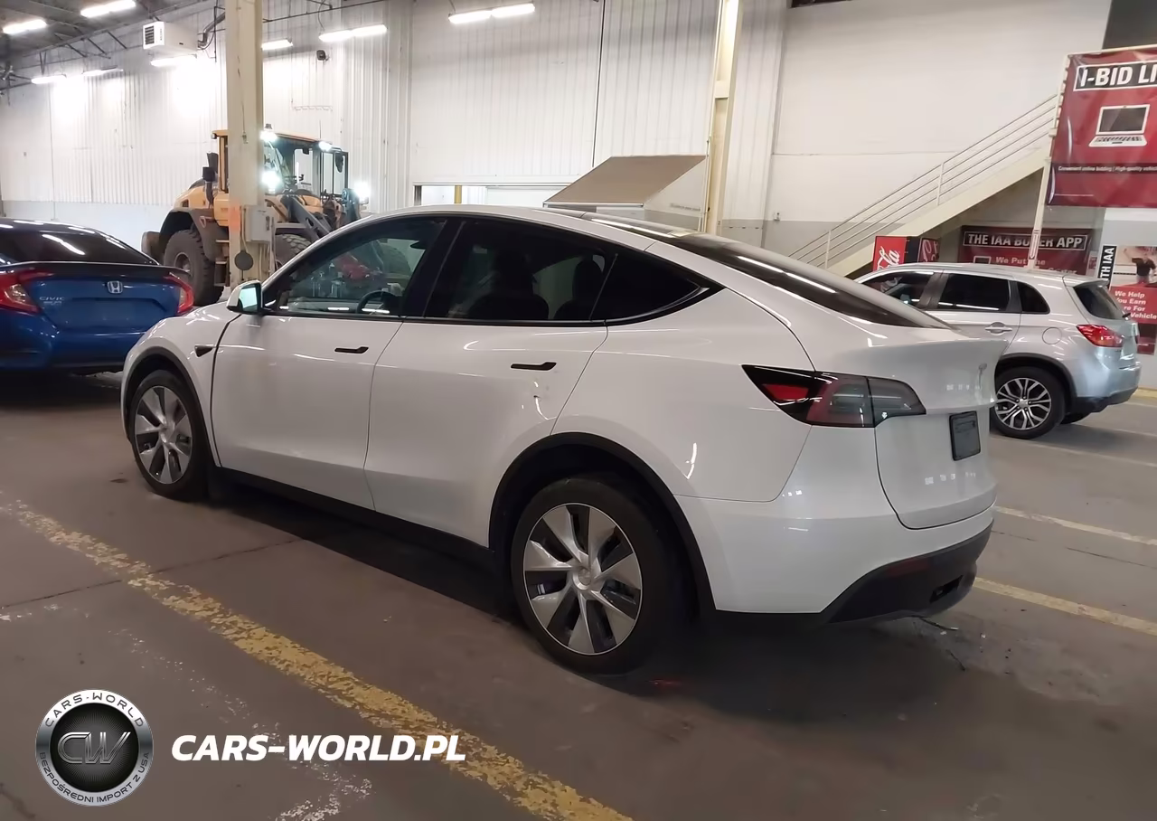 2023 Tesla Model Y VIN:7SAYGDEE5PF788671 - 3