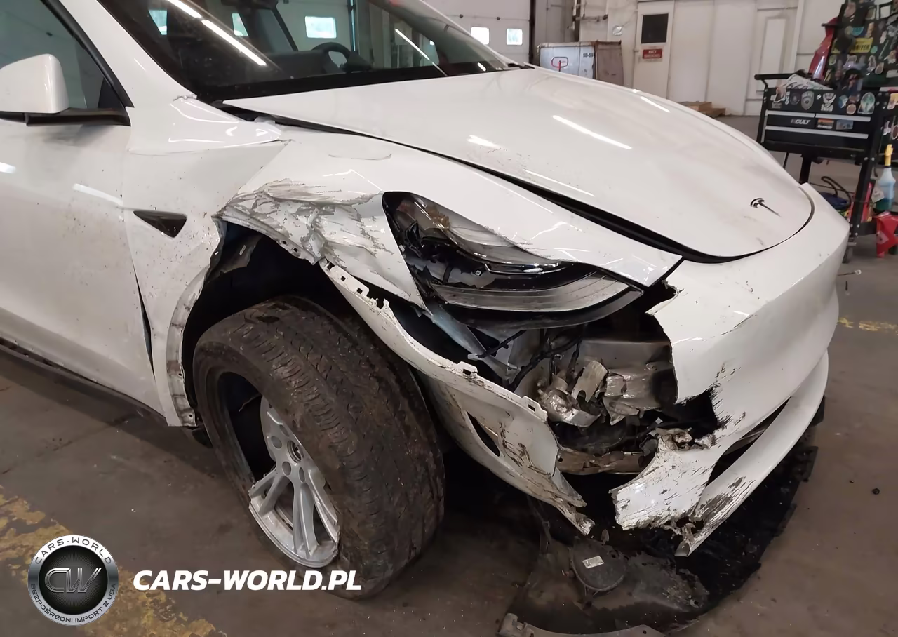 2023 Tesla Model Y VIN:7SAYGDEE5PF788671 - 6