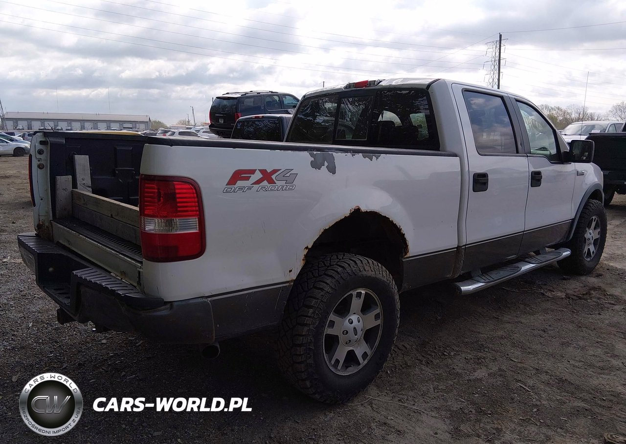 2006 Ford F-150 Fx4-Lariat-Xlt VIN:1FTPW145X6FB09144 - 6
