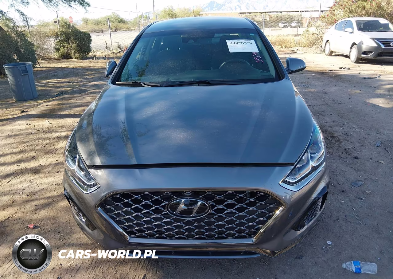 2019 Hyundai Sonata Sel VIN:5NPE34AF6KH768143 - 12
