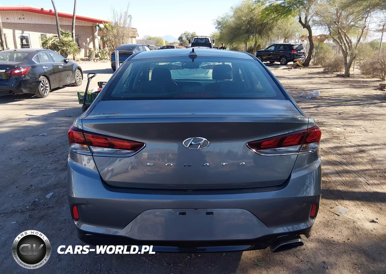 2019 Hyundai Sonata Sel VIN:5NPE34AF6KH768143 - 16