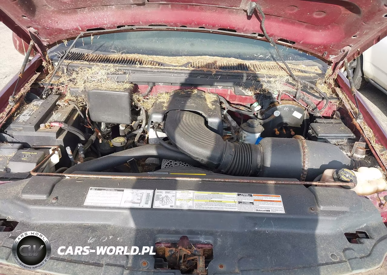 1997 Ford F-150 Lariat-Xl-Xlt VIN:1FTDX1861VKA06445 - 10