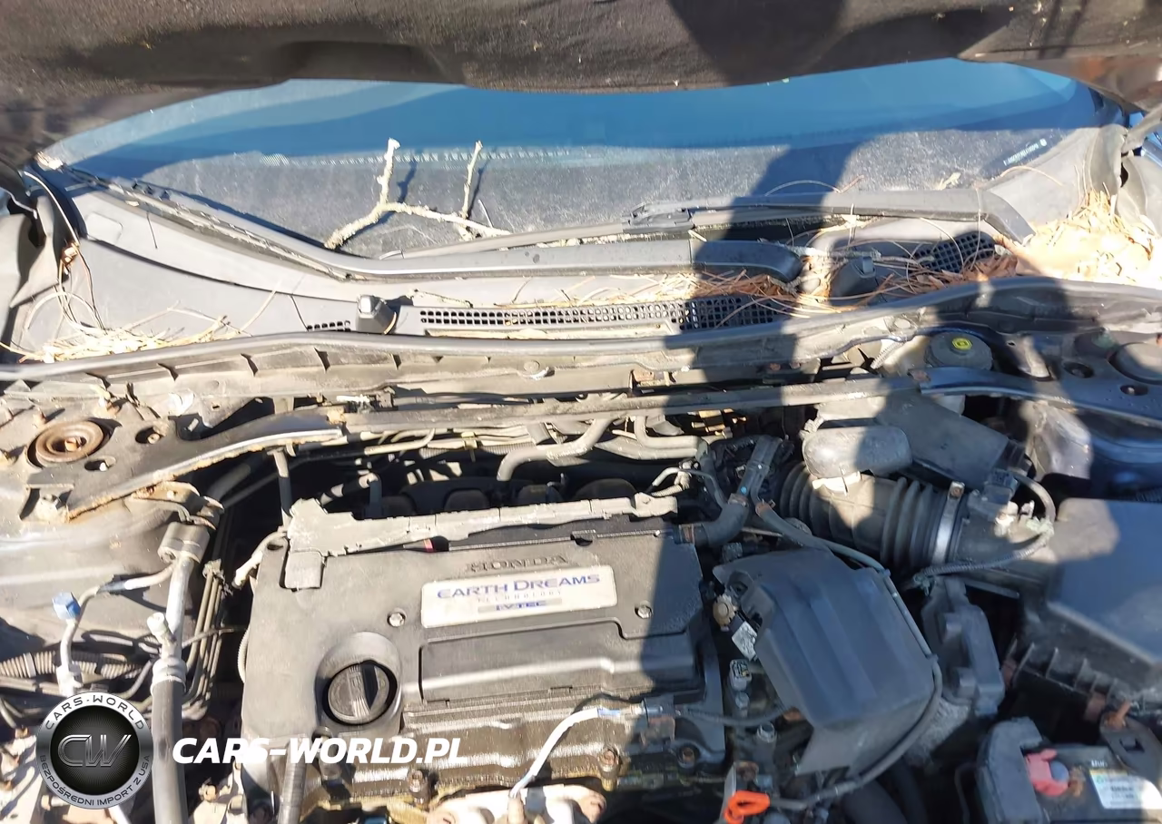 2014 Honda Accord Ex-L VIN:1HGCR2F86EA100098 - 10