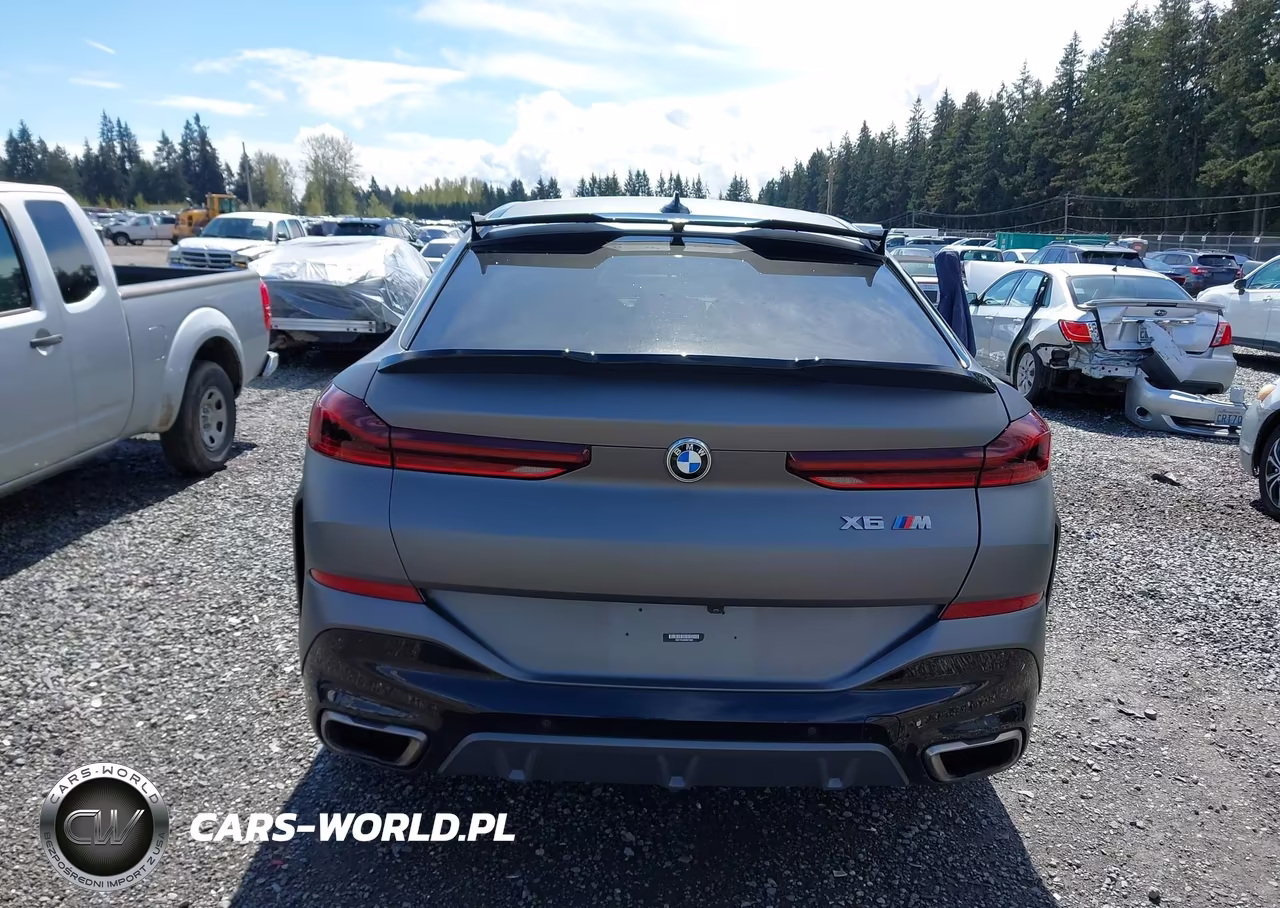 2021 BMW X6 M50I VIN:5UXCY8C05M9E21862 - 17