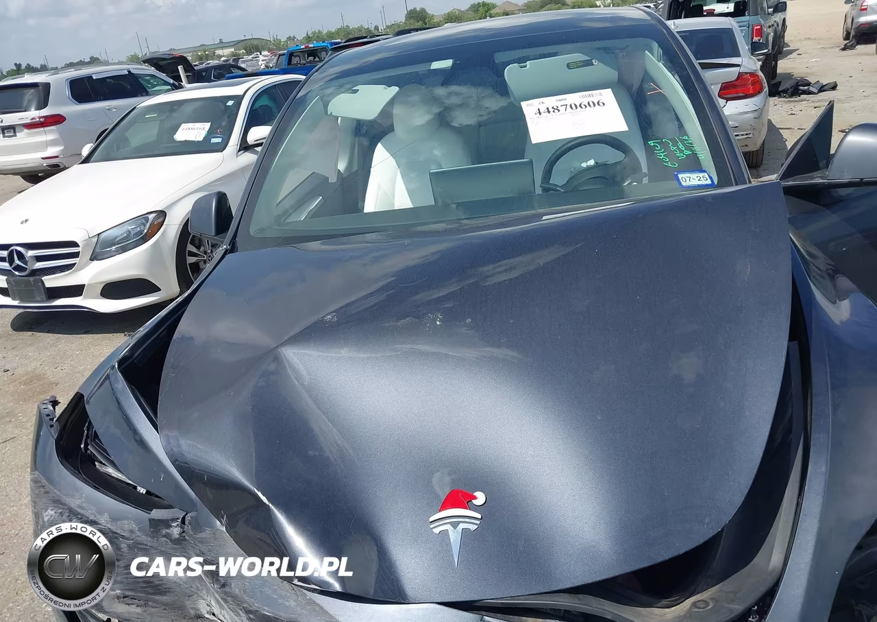 2024 Tesla Model Y Long Range Dual Motor All-Wheel Drive VIN:7SAYGAEEXRF075122 - 10
