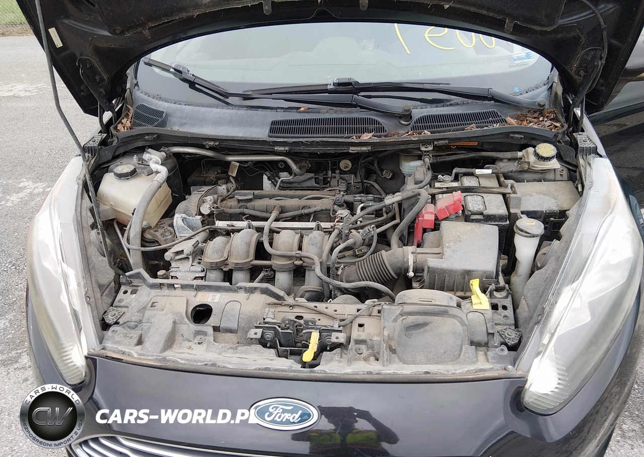 2015 Ford Fiesta Se VIN:3FADP4BJXFM172140 - 10