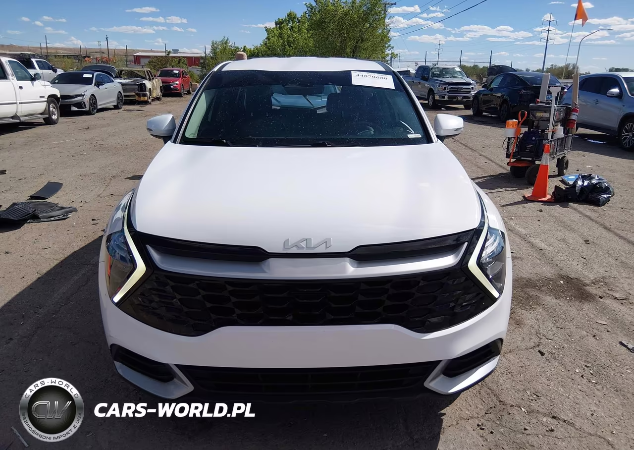 2023 Kia Sportage Ex VIN:5XYK33AF6PG133354 - 12
