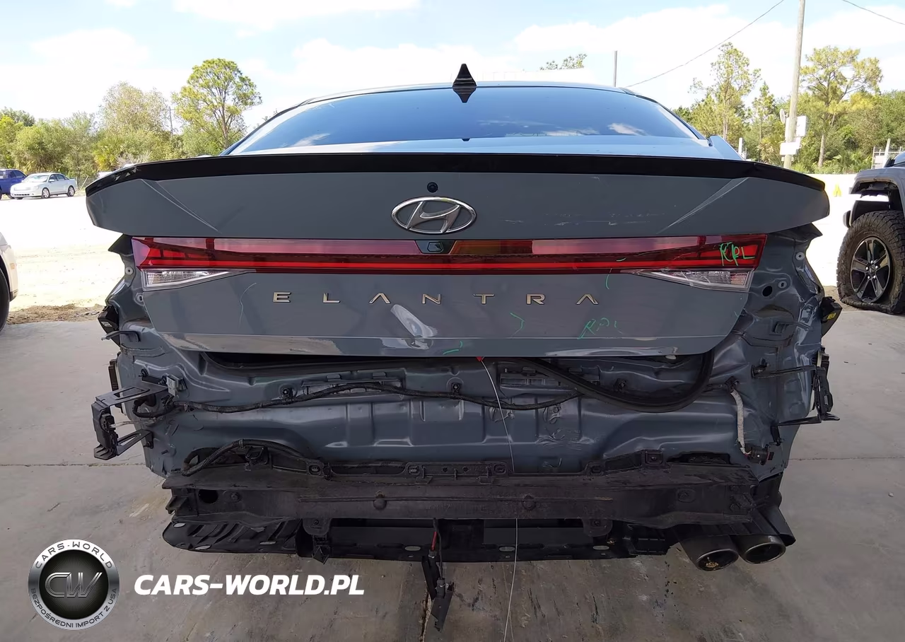 2023 Hyundai Elantra N Line VIN:KMHLR4AF2PU450261 - 6