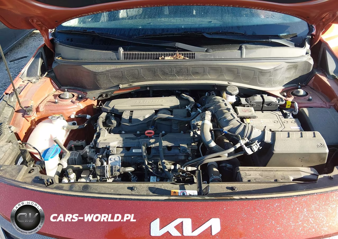 2024 Kia Seltos X-Line VIN:KNDEUCA72R7523483 - 10