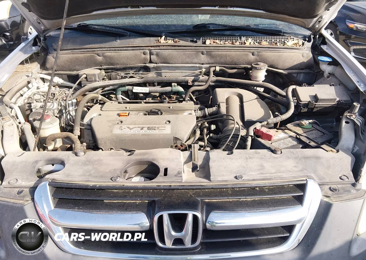 2004 Honda Cr-V Ex VIN:SHSRD78884U257924 - 10