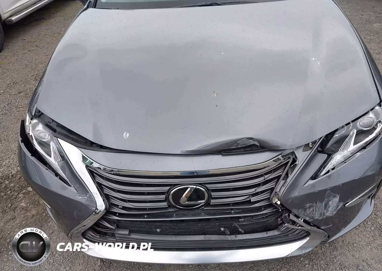 2017 Lexus Es 350 VIN:JTHBK1GG9H2257488 - 19