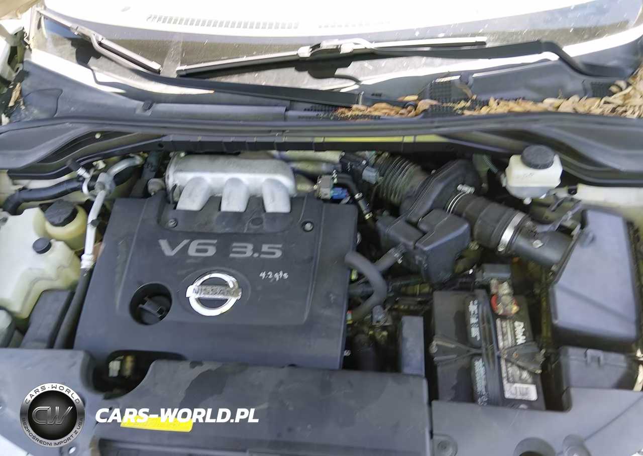 2005 Nissan Murano Sl VIN:JN8AZ08T25W316680 - 10