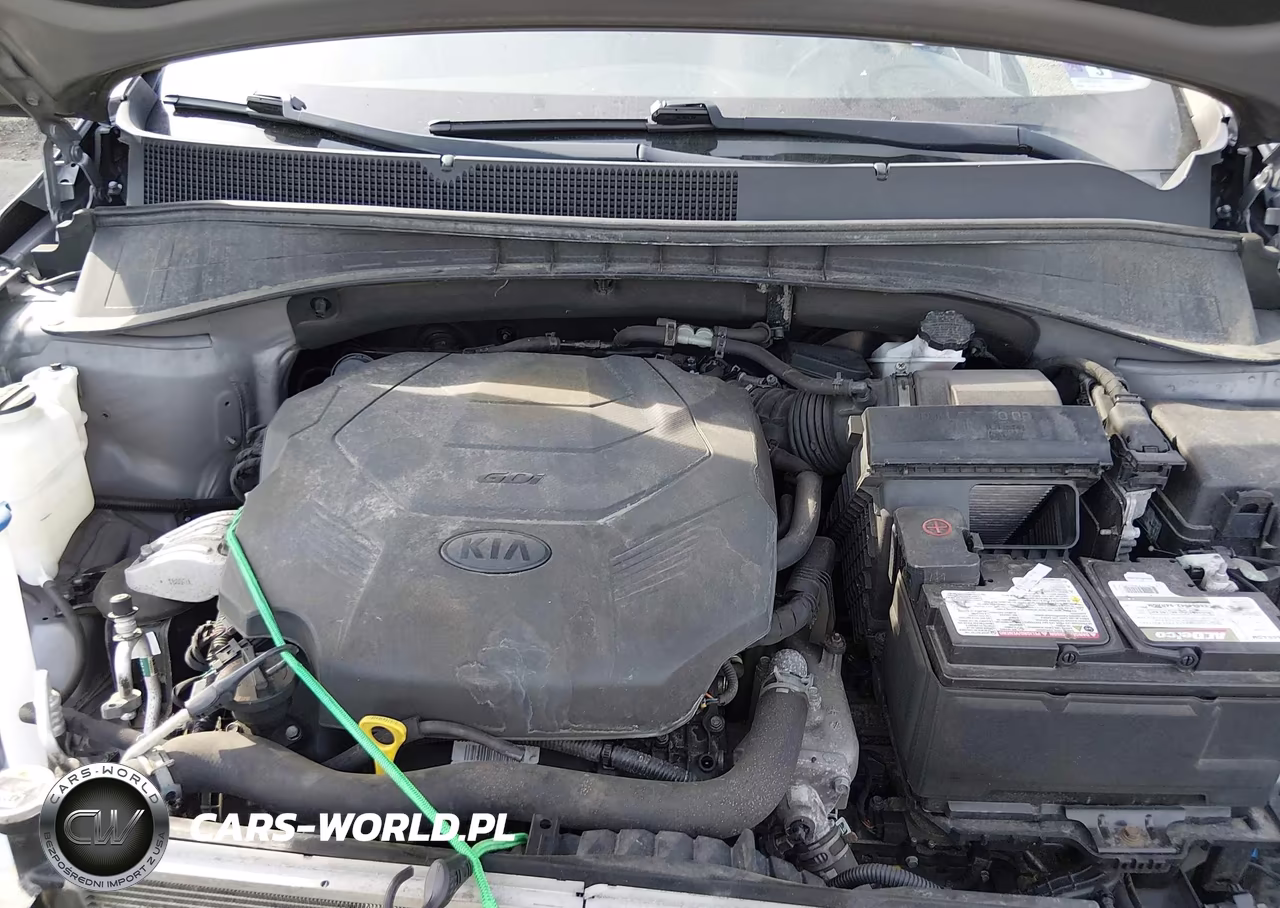 2019 Kia Sorento 3.3L Ex VIN:5XYPHDA52KG509593 - 10