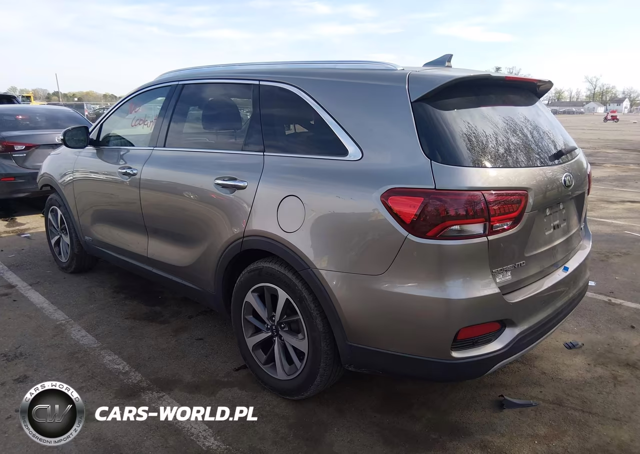 2019 Kia Sorento 3.3L Ex VIN:5XYPHDA52KG509593 - 3