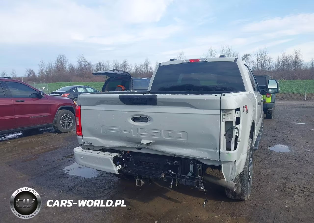2023 Ford F-150 Xl VIN:1FTFW1E50PKF93361 - 17