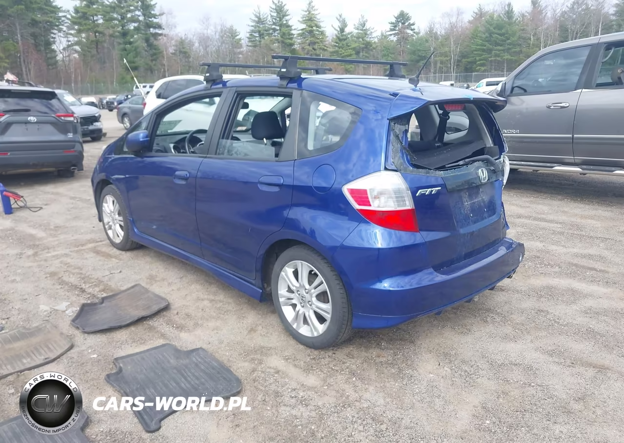 2010 Honda Fit Sport VIN:JHMGE8G41AC008078 - 3