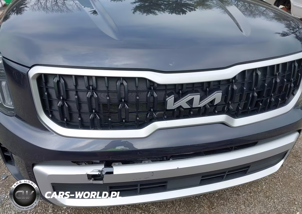 2025 Kia Telluride Lx VIN:5XYP24GC5SG619464 - 17