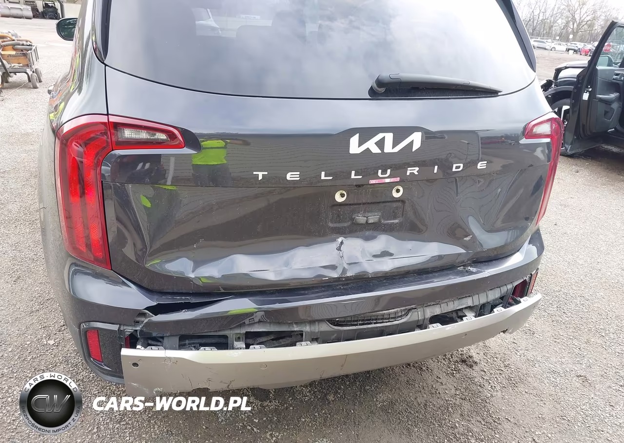2025 Kia Telluride Lx VIN:5XYP24GC5SG619464 - 6