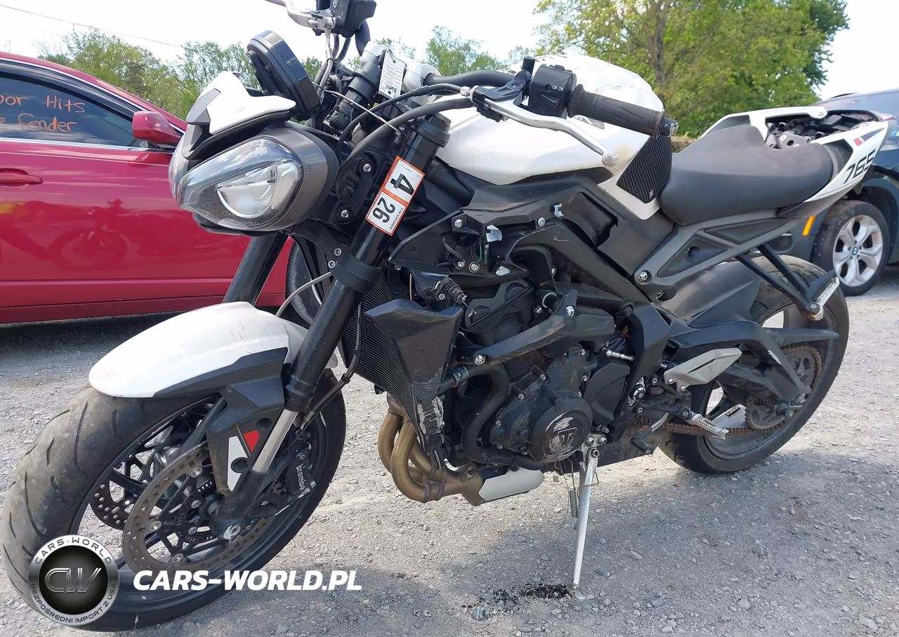 2024 Triumph Motorcycle Street Triple 765 R VIN:SMTA604S6RTBM4876 - 16