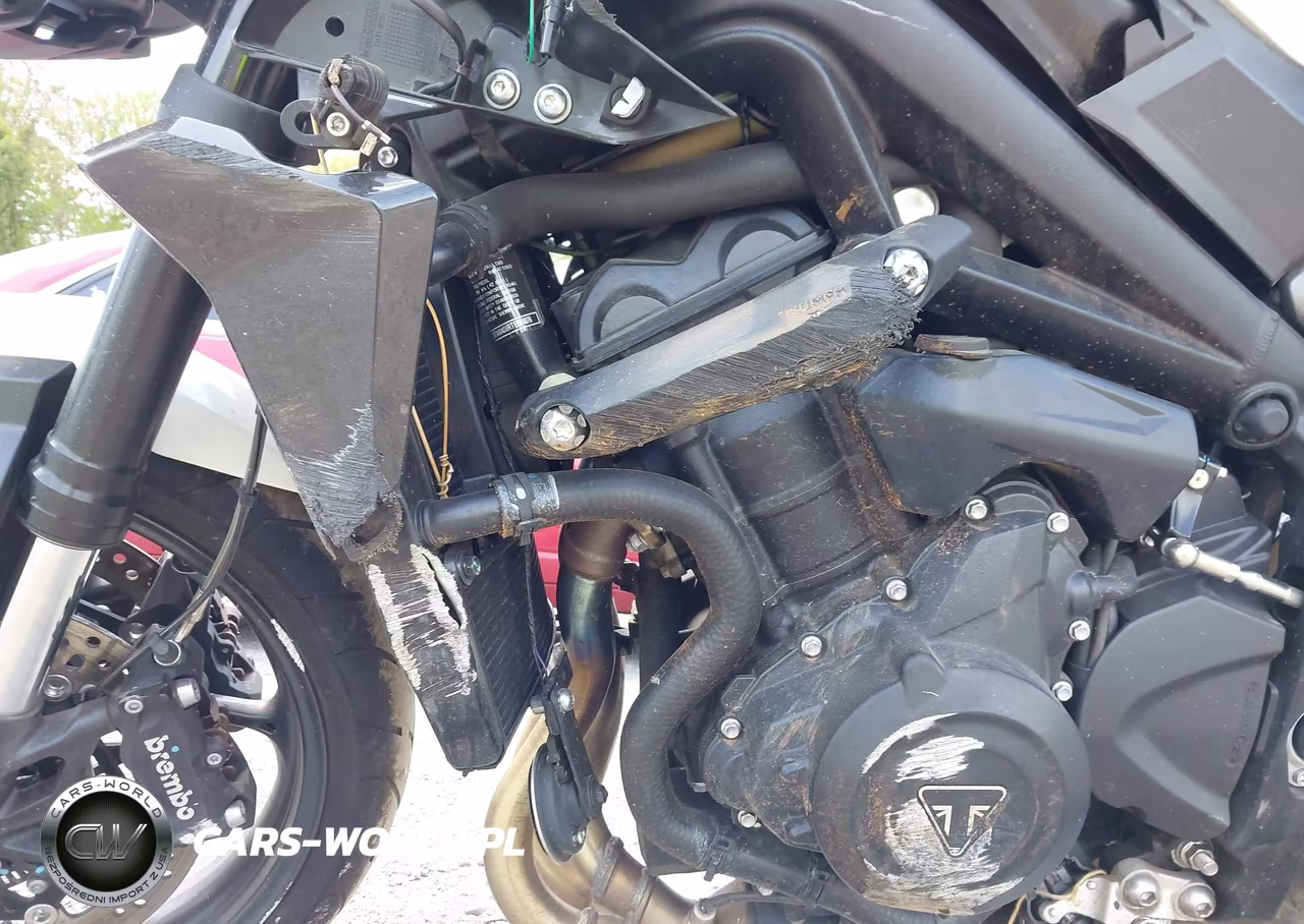 2024 Triumph Motorcycle Street Triple 765 R VIN:SMTA604S6RTBM4876 - 19