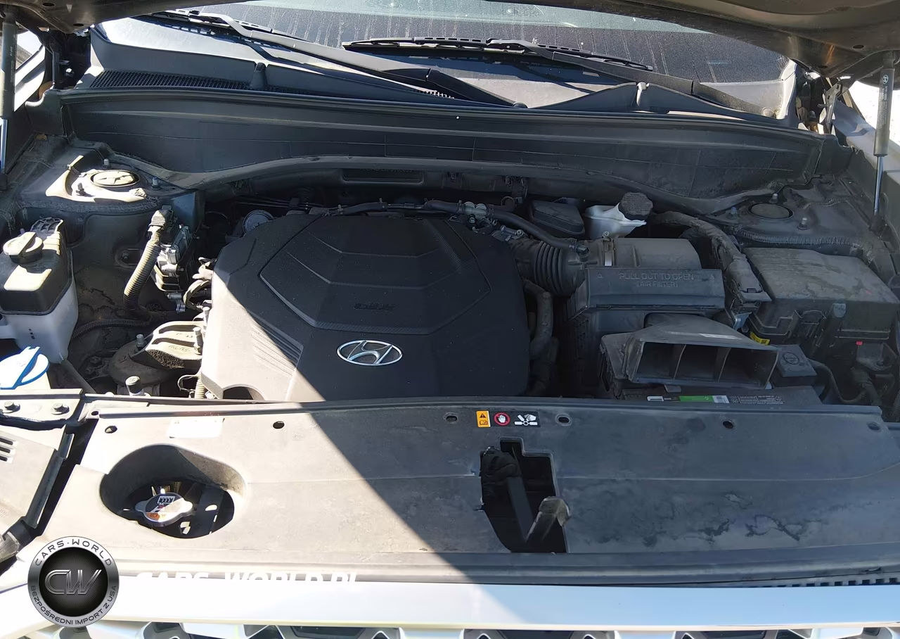 2021 Hyundai Palisade Sel VIN:KM8R4DHE0MU183039 - 10