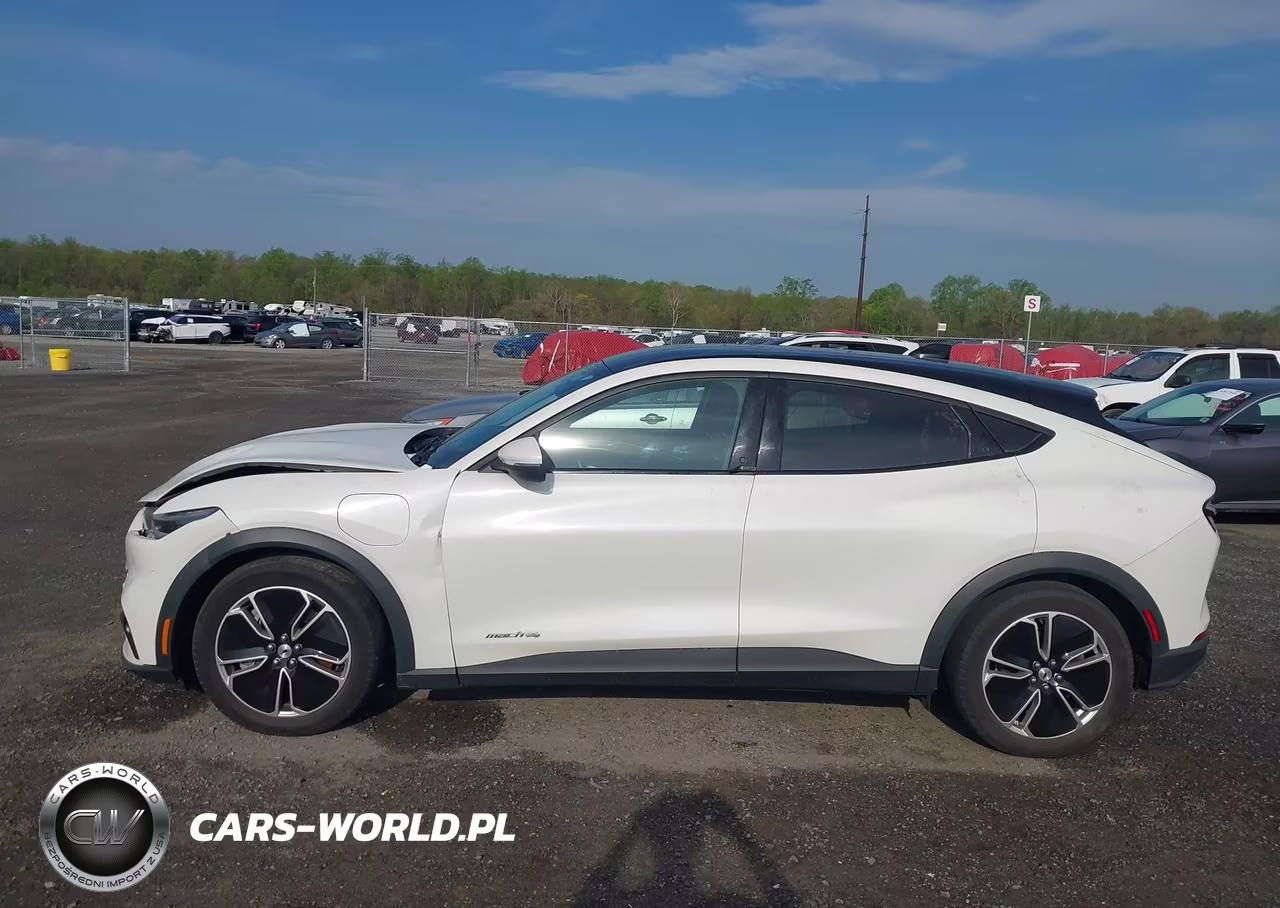 2021 Ford Mustang Mach-E Select VIN:3FMTK1SSXMMA56084 - 14
