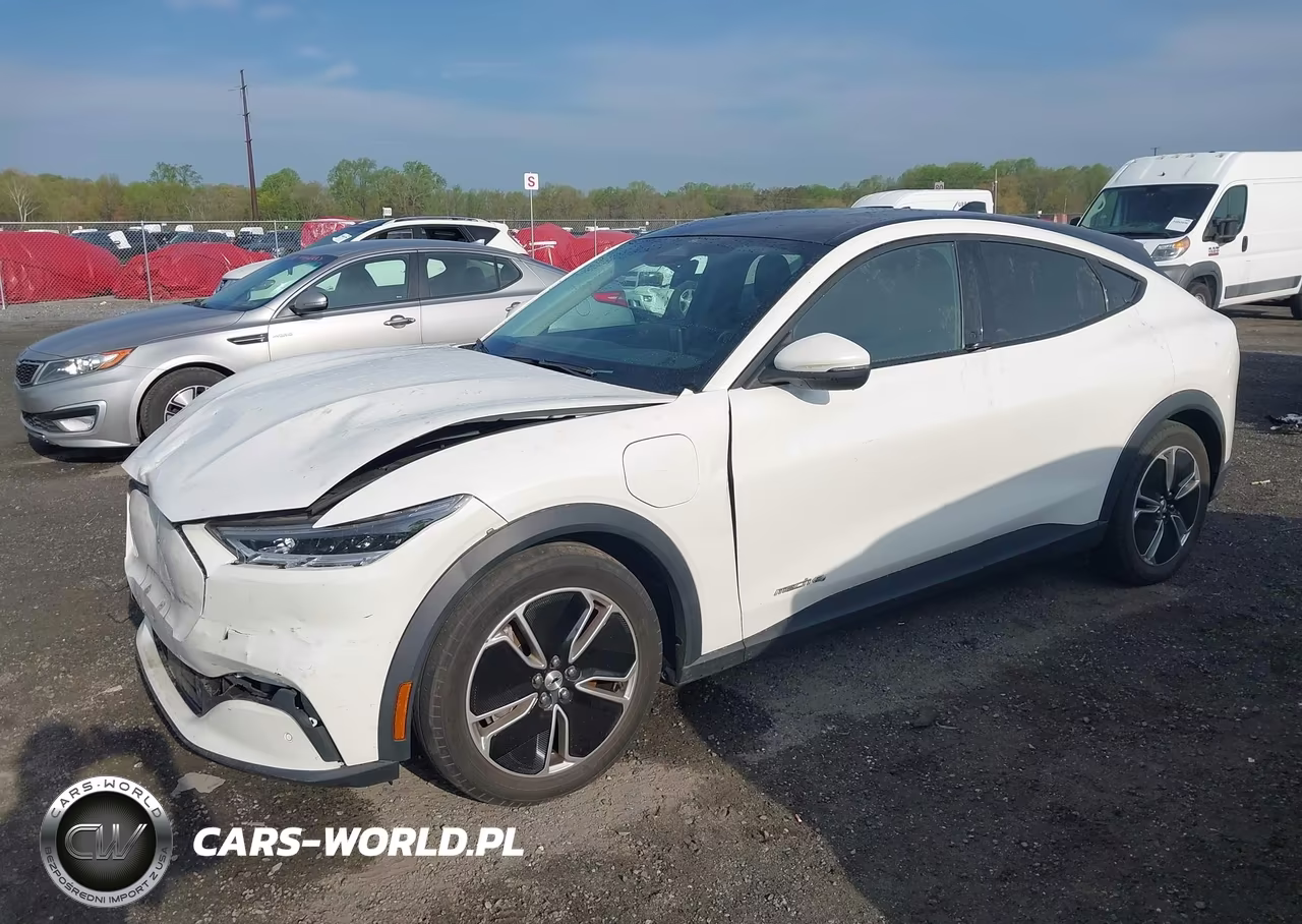 2021 Ford Mustang Mach-E Select VIN:3FMTK1SSXMMA56084 - 2