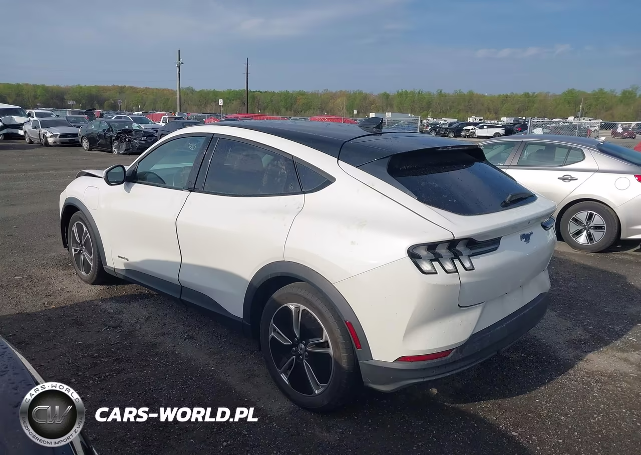 2021 Ford Mustang Mach-E Select VIN:3FMTK1SSXMMA56084 - 3