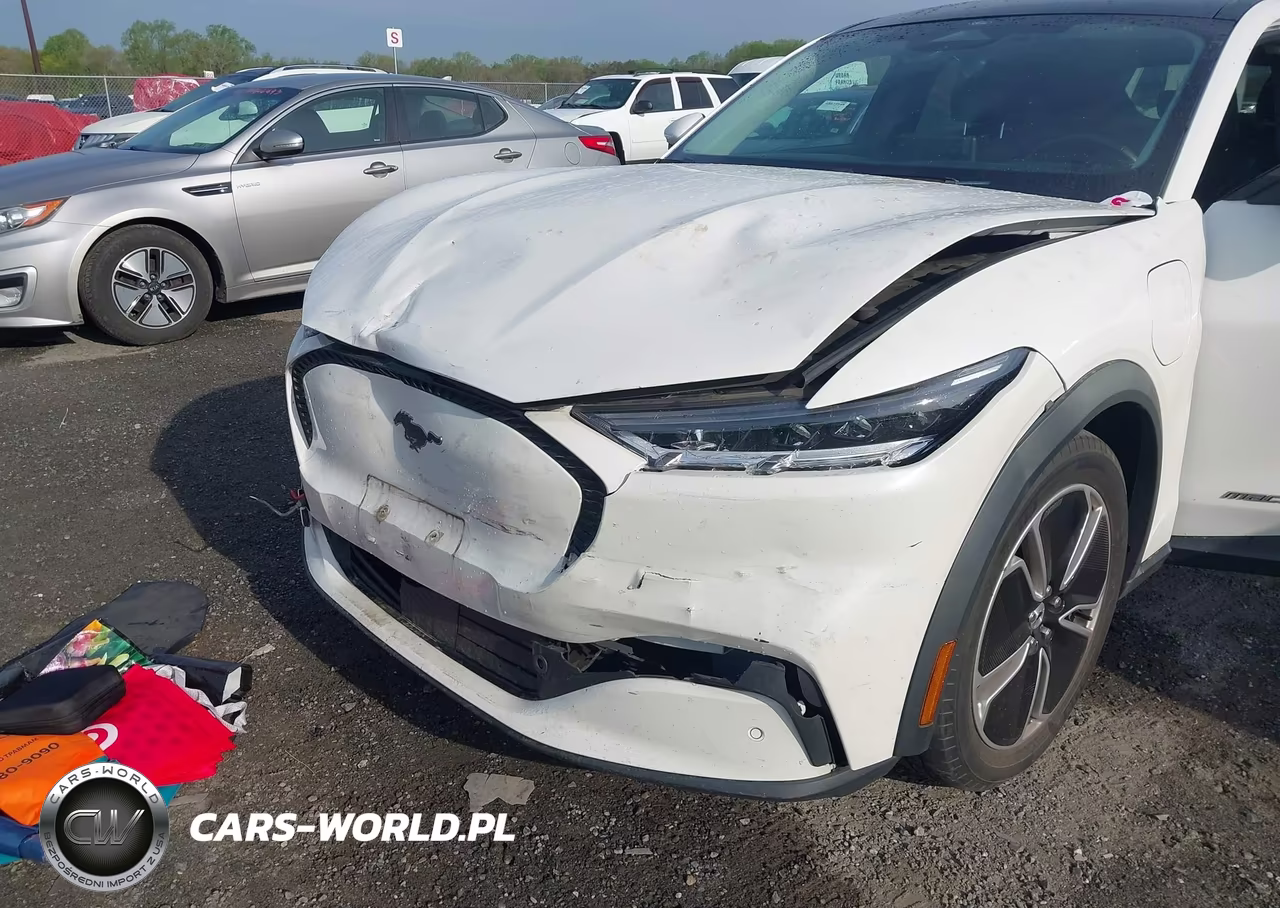 2021 Ford Mustang Mach-E Select VIN:3FMTK1SSXMMA56084 - 6