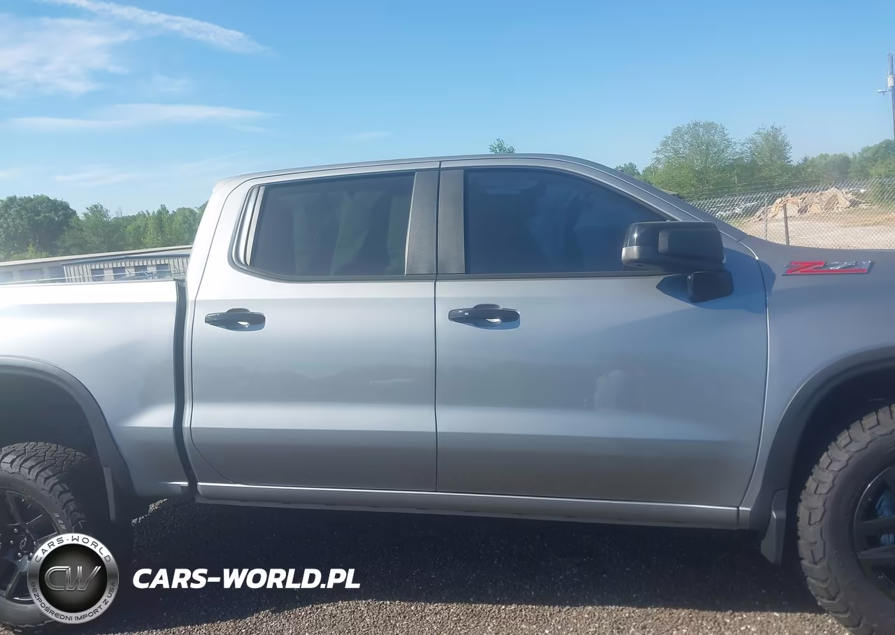 2023 Chevrolet Silverado 1500 4Wd Short Bed Lt Trail Boss VIN:3GCUDFED8PG351510 - 13