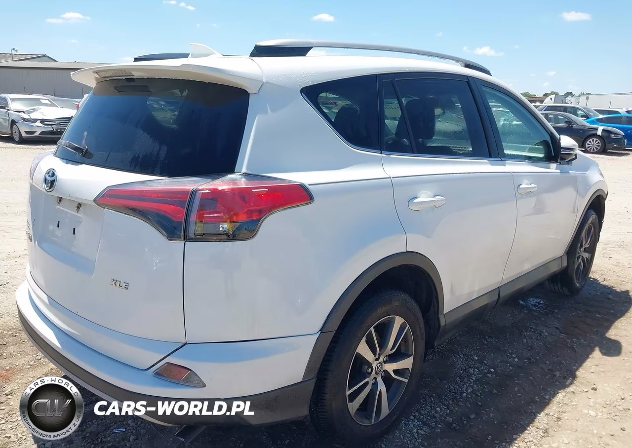 2018 Toyota Rav4 Xle VIN:2T3WFREV9JW416725 - 4