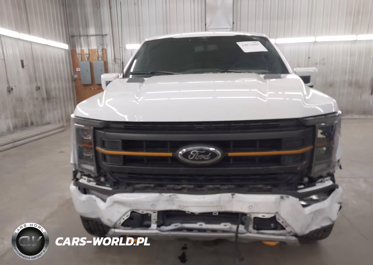 2023 Ford F-150 Tremor VIN:1FTEW1E88PFC61554 - 13