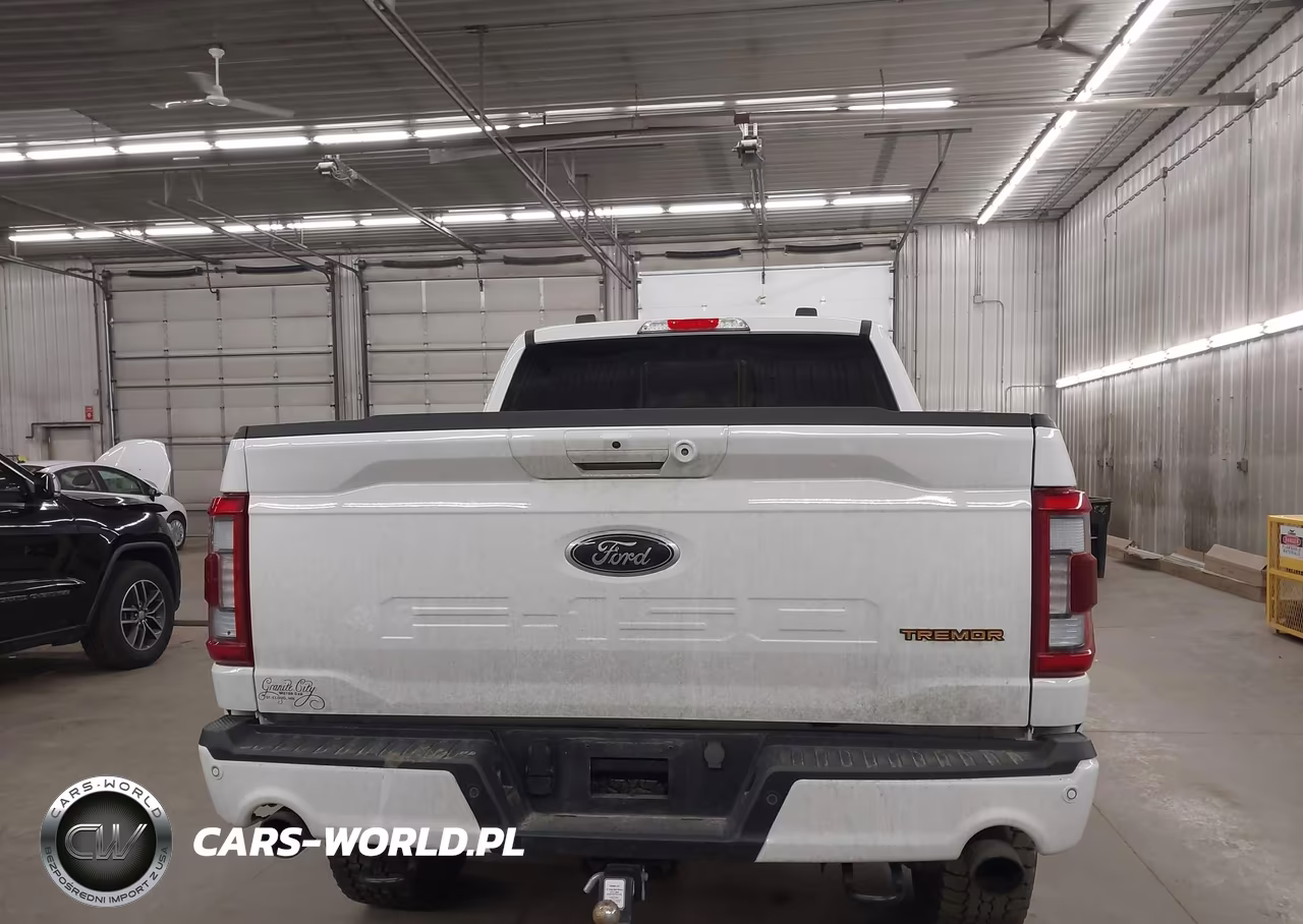 2023 Ford F-150 Tremor VIN:1FTEW1E88PFC61554 - 17