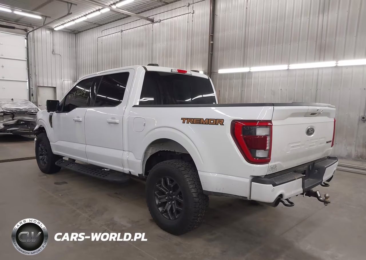2023 Ford F-150 Tremor VIN:1FTEW1E88PFC61554 - 3
