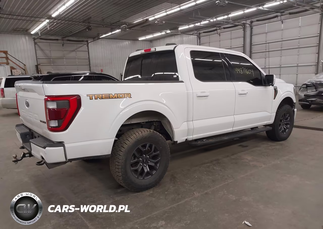 2023 Ford F-150 Tremor VIN:1FTEW1E88PFC61554 - 4